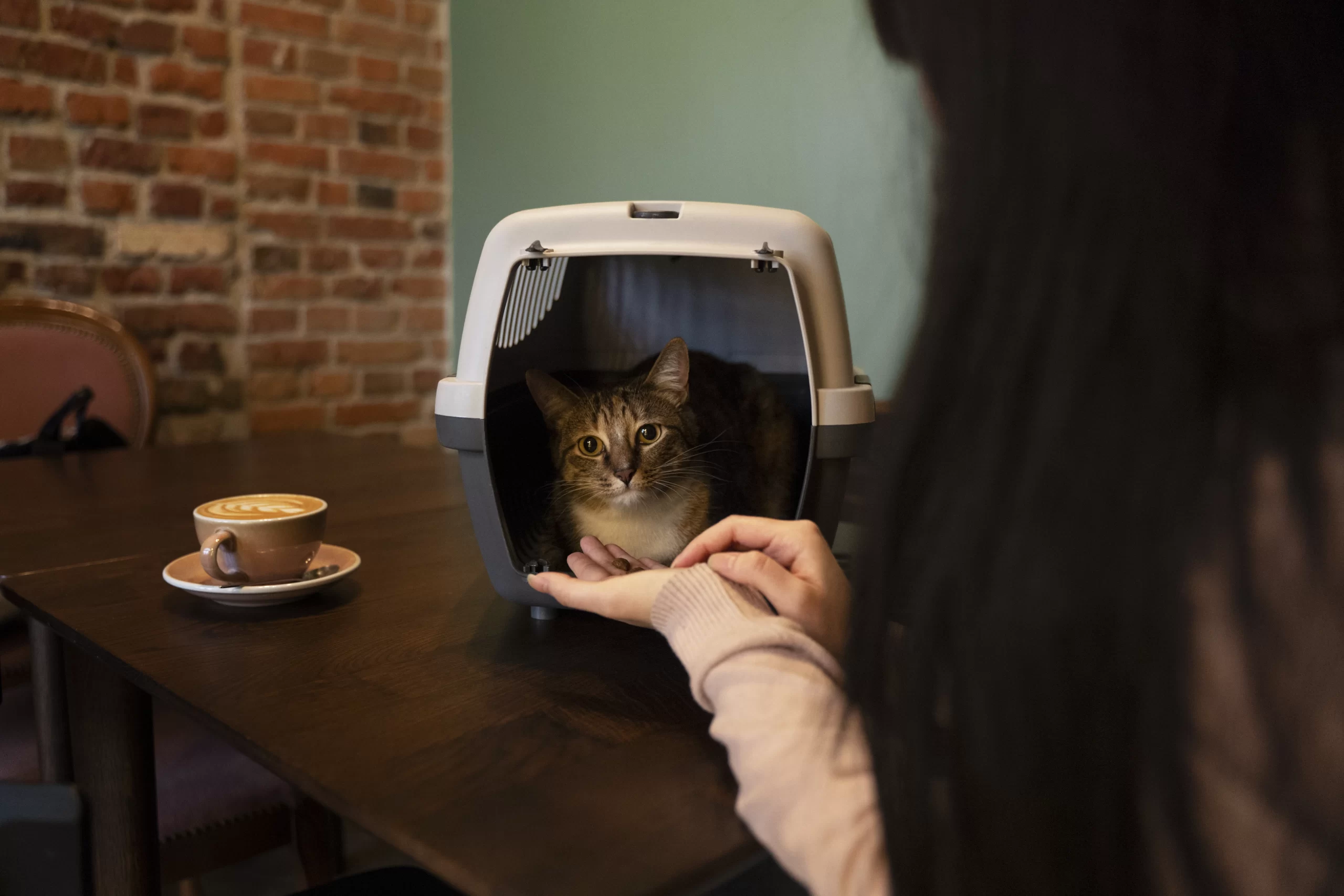 Donna che tiene il suo gatto nel trasportino per introdurre il tema della Legge sul Benessere Animale in Spagna.