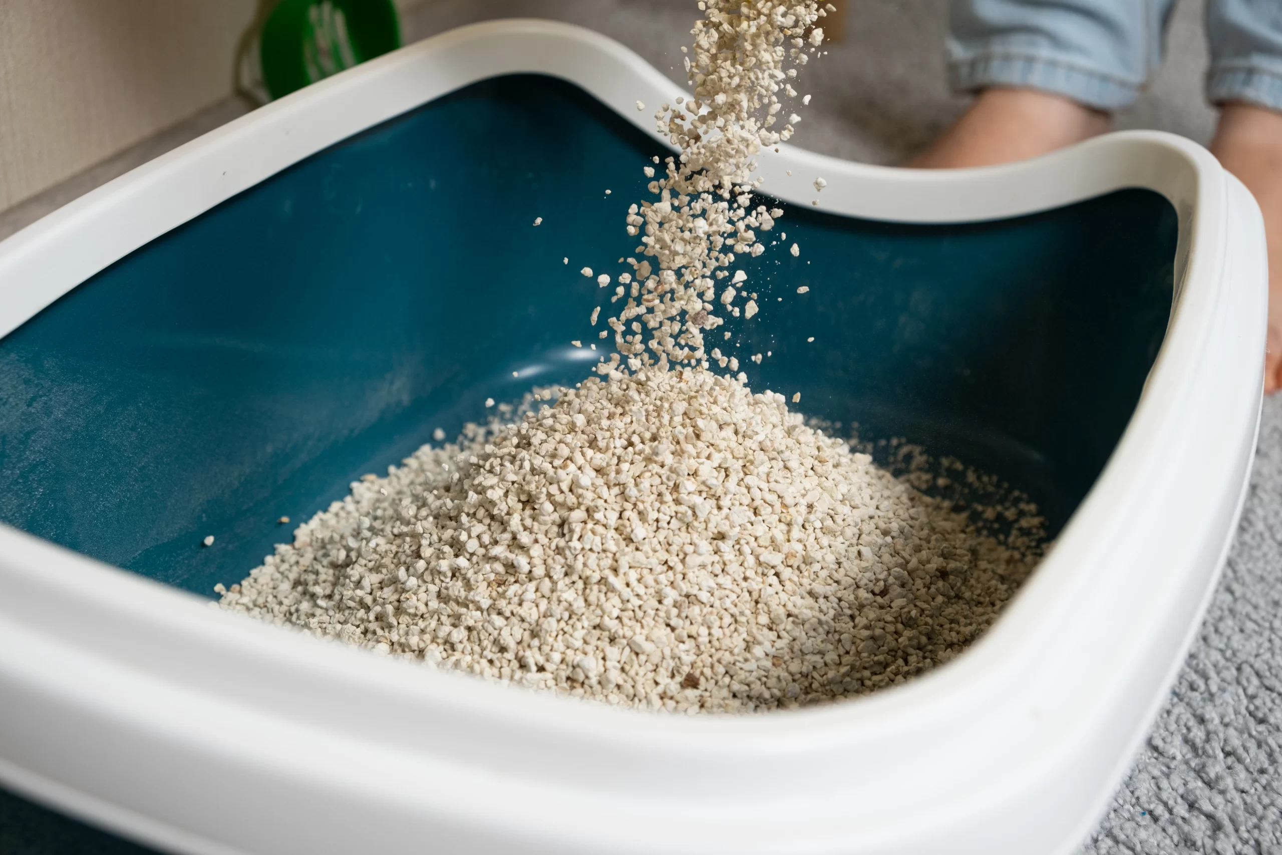 Sabbia per gatti messa nella sua lettiera per poi essere buttare la sabbia per gatti nel water.