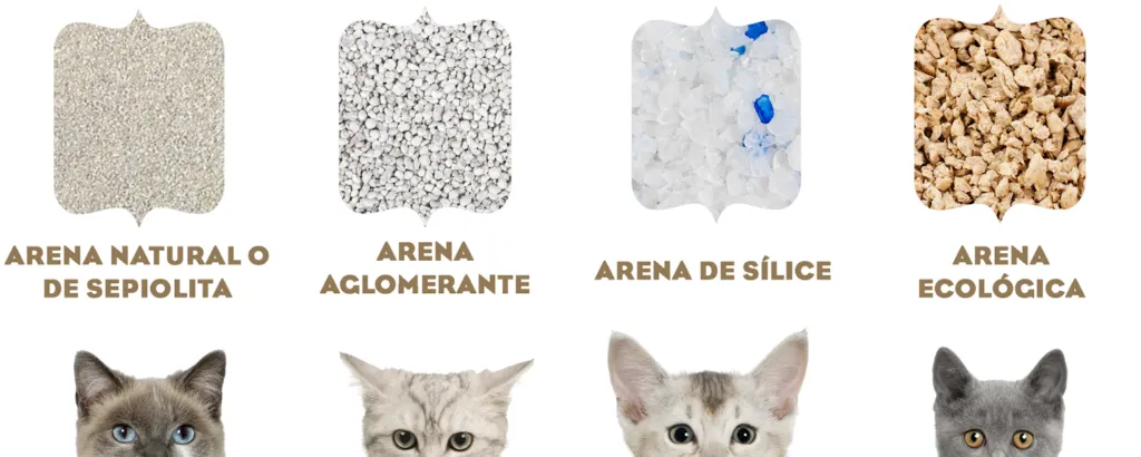 sepicat-Tipos de arena para gatos y por qué elegir la aglomerante